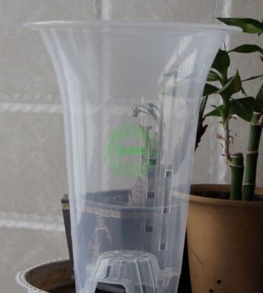 Для орхидеи Цимбидиум идеально подойдет пластиковый прозрачный горшок с дренажными отверстиями