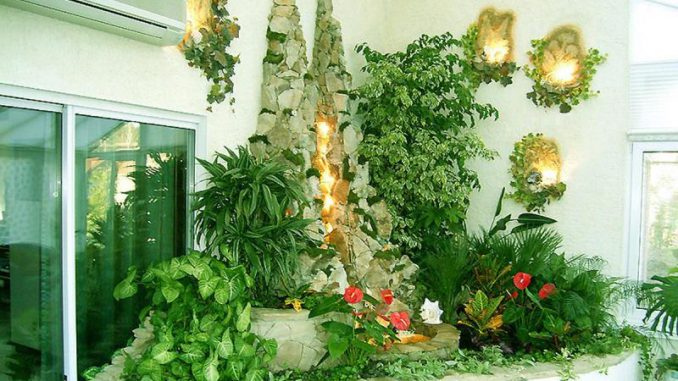 Вьющиеся комнатные растения в интерьере